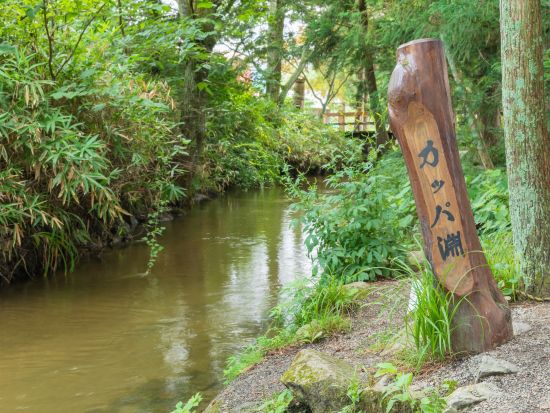 貸切観光タクシー 遠野物語の観光地めぐり　カッパ淵+伝承園+姥捨て伝説のデンデラ野etc.＜2時間／遠野市内発着＞