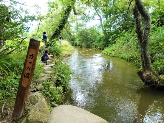 貸切観光タクシー  花巻から行く！カッパの棲む遠野をめぐるプチトリップ　カッパ淵+伝承園+常堅寺etc.＜2時間／花巻発⇒遠野着＞