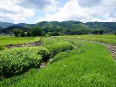 pixta_81352588_M