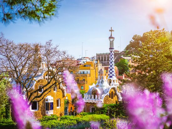 Spain_Barcelona_Park Guell_Lavender_flower_shutterstock_1145430401_2500