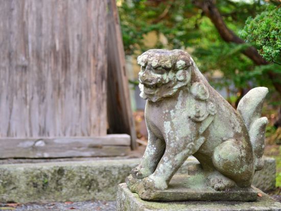 貸切観光タクシー 遠野物語の観光地めぐり　カッパ淵+伝承園+福泉寺+卯子酉神社etc.＜4.5時間／遠野⇒盛岡着＞