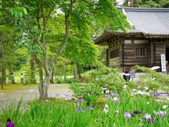 pixta_81014773_M