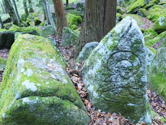 貸切観光タクシー 盛岡から行く！遠野物語の観光地めぐり 卯子酉神社+五百羅漢または続石+道の駅風の丘etc.＜4時間／盛岡発→遠野着＞