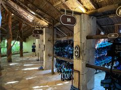 IMG_9873