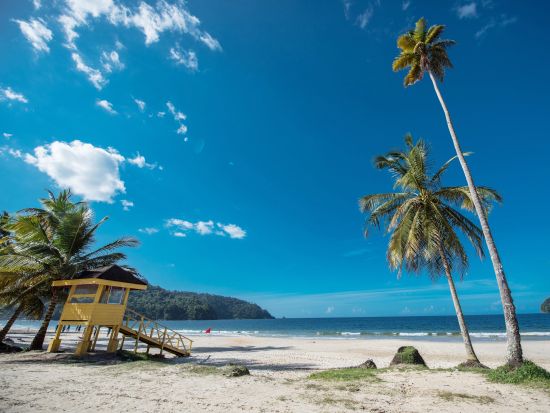 トリニダード　ハイライト＆ドライブツアー＜英語ガイド/トリニダード・トバゴ発＞