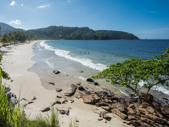 トリニダード　ハイライト＆ドライブツアー＜英語ガイド/トリニダード・トバゴ発＞