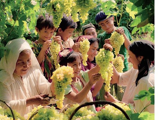 【新疆ウイグル シルクロードツアー・4泊5日間】ウルムチ＋トルファン＋カシュガル＜専用車＋専属日本語ガイド／昼食付／プライベートツアー＞