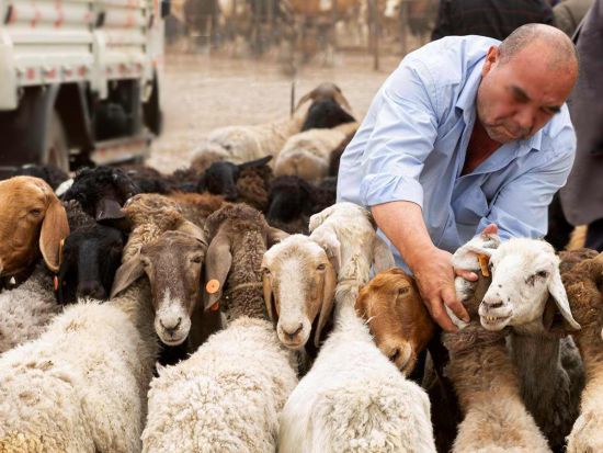 【新疆ウイグル シルクロードツアー・4泊5日間】ウルムチ＋トルファン＋カシュガル＜専用車＋専属日本語ガイド／昼食付／プライベートツアー＞