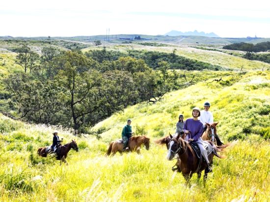 阿蘇カルデラ 普段は立ち入ることができない草原で乗馬体験＆ピクニックランチ　草原の守り人に教えていただく伝統農業体験も＜阿蘇発＞