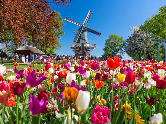 Keukenhof_tulips_spring_shutterstock_1111810853