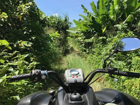 【1回1組貸切！】バギーライドツアー 石垣の森をかっこよく駆け抜けよう！＜石垣島＞ bySIMBA TRIBAL