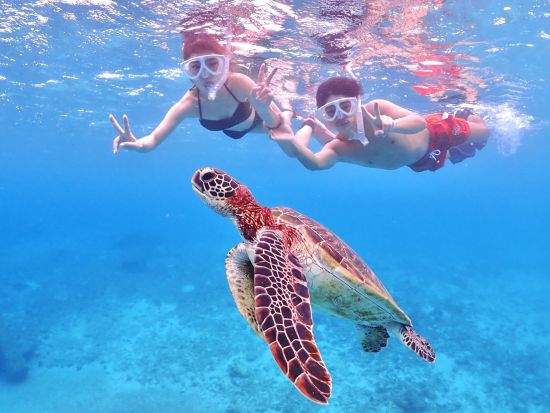 うみがめシュノーケルツアー　透明度抜群の宮古島の海を舞台にうみがめと一緒に写真撮影！ドローン撮影のオプションもご用意＜写真付／宮古島＞