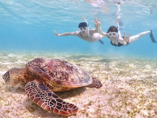 うみがめシュノーケルツアー　透明度抜群の宮古島の海を舞台にうみがめと一緒に写真撮影！ドローン撮影のオプションもご用意＜写真付／宮古島＞