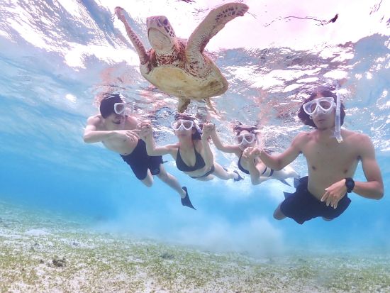 うみがめシュノーケルツアー　透明度抜群の宮古島の海を舞台にうみがめと一緒に写真撮影！ドローン撮影のオプションもご用意＜写真付／宮古島＞