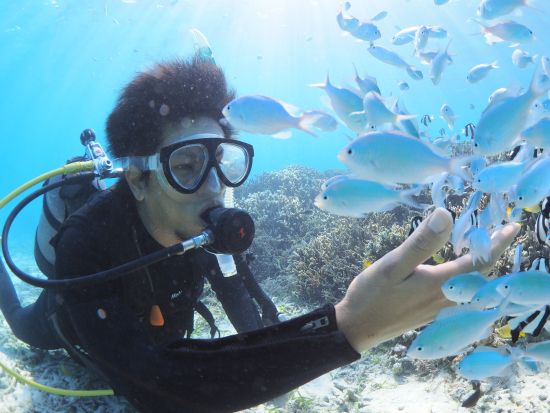 ファンダイビング ダイビング初心者から上級者まで幅広く八重山の海を満喫できる＜2～3ダイブ／ホテル送迎可／石垣島＞ 