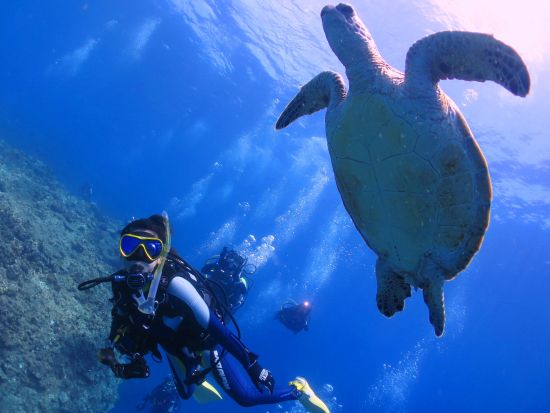 体験ダイビング 石垣島の透明度抜群な水中世界へご案内♪ 初心者の方も経験豊富なスタッフがしっかりサポート＜2～3ダイブ／ホテル送迎可／石垣島＞ 