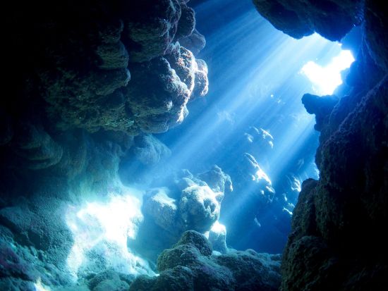 体験ダイビング 石垣島の透明度抜群な水中世界へご案内♪ 初心者の方も経験豊富なスタッフがしっかりサポート＜2～3ダイブ／ホテル送迎可／石垣島＞ 