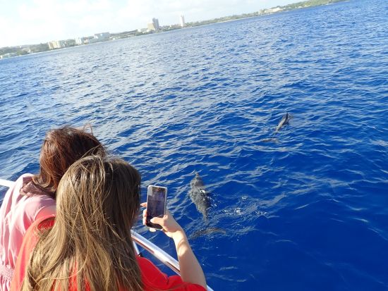 イルカウォッチング＋ウミガメシュノーケリング　イルカ探しと秘密のウミガメポイントでシュノーケリングを楽しもう＜午前／日本語ガイド＞by ジェントリーブルー