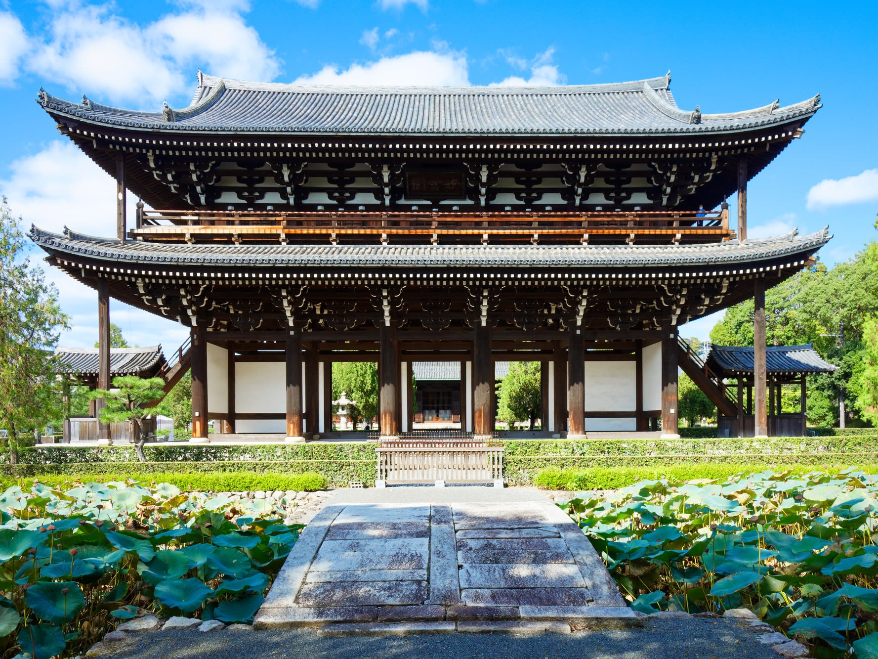 京都バスツアー 東福寺＋妙心寺 大法院＋大徳寺 興臨院 春紅葉三大狂艶