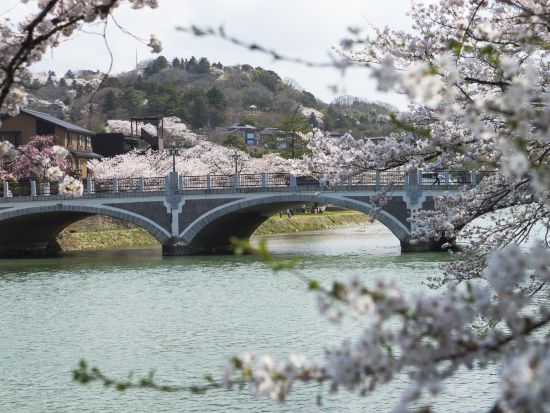貸切観光タクシー ひがし茶屋街・兼六園・金沢城・近江町市場など金沢の人気スポット10か所へご案内＜1日／1～9名／選べる車種／金沢発着＞by 冨士タクシー