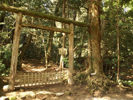 貸切観光タクシー 千里浜なぎさドライブウェイや気多大社など自然あふれる絶景とパワースポット巡りで能登半島を満喫＜1日／1～4名／金沢発着＞by 石川近鉄タクシー