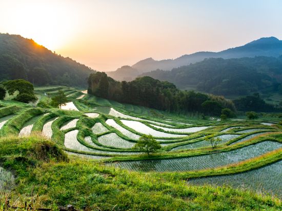 貸切観光タクシー 千里浜なぎさドライブウェイや気多大社など自然あふれる絶景とパワースポット巡りで能登半島を満喫＜1日／1～4名／金沢発着＞by 石川近鉄タクシー