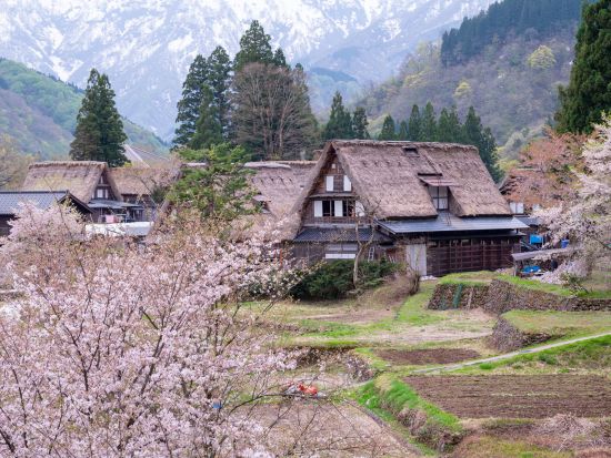 貸切観光タクシー 白川郷＋五箇山 世界文化遺産の合掌造り集落を散策！＜6時間／1～4名／金沢発着＞by 石川近鉄タクシー