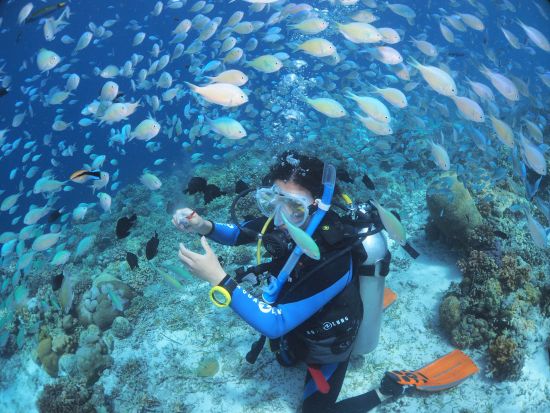 ファンダイビング 初心者＆ブランクダイバー大歓迎 リフレッシュ講習付き＜ボート／2ダイブ＞by マリンハウスシーサー