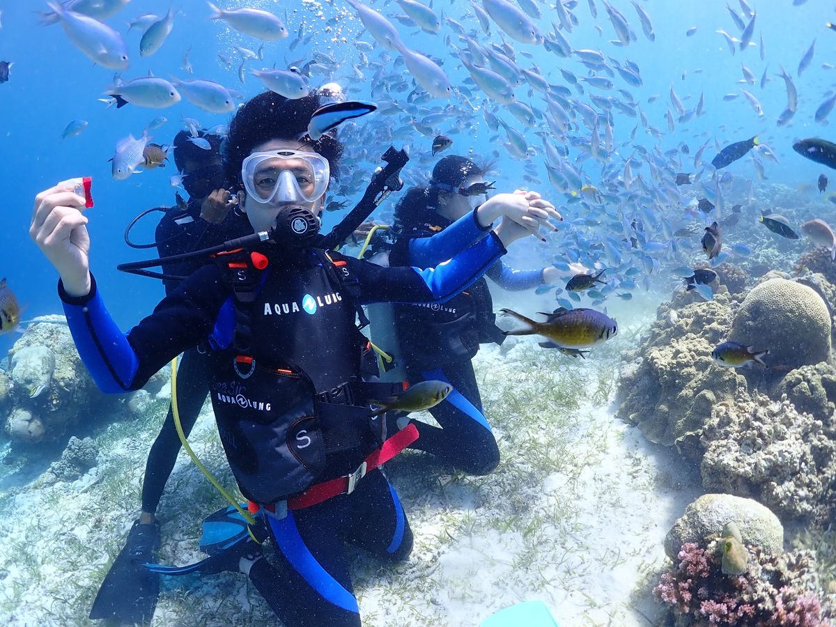 体験ダイビング | セブ島 旅行の観光・オプショナルツアー予約 VELTRA