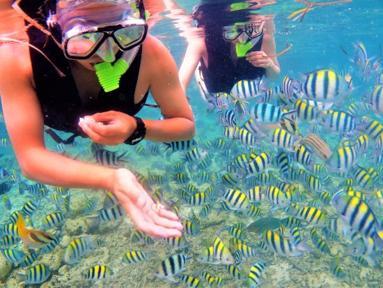 アイランドホッピング人気の3島巡り パンダノン島上陸！ヒルトゥガン島＆ナルスアン島の海洋保護区でシュノーケル＜日本語ガイド／BBQランチ＞