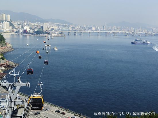 釜山市内半日観光ツアー　午前中にサクッと観光！松島海上ケーブルカー＋チャガルチ市場＋BIFF広場＋南浦洞　ミルミョン（冷麺）と餃子ランチ付＜午前／日本語ガイド＞