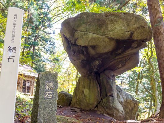貸切観光タクシー 盛岡から行く！遠野物語の観光地めぐり 卯子酉神社+五百羅漢または続石+道の駅風の丘etc.＜4時間／盛岡発→遠野着＞