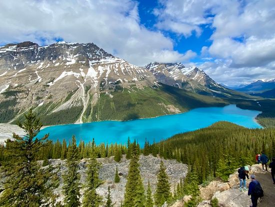 Peyto Lake