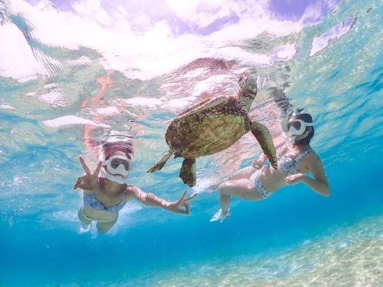 クリアSUP＋ウミガメシュノーケリング 透明度抜群の海をクリアボードで楽しめる！運が良ければウミガメに会えるかも＜宮古島＞by 宮古島マリン SUGAR3