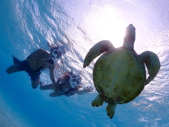 クリアSUP＋ウミガメシュノーケリング 透明度抜群の海をクリアボードで楽しめる！運が良ければウミガメに会えるかも＜宮古島＞by 宮古島マリン SUGAR3