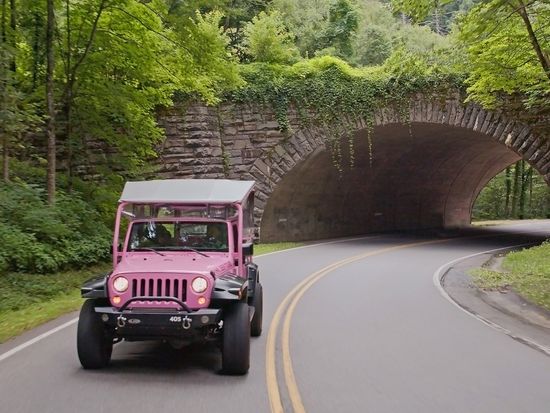 Newfound Gap Tour - Pink Jeep Tours 7