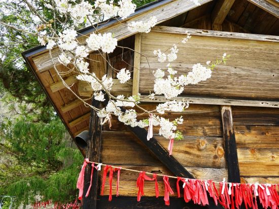 貸切観光タクシー 遠野物語の観光地めぐり 卯子酉神社+五百羅漢または続石+道の駅風の丘etc. 観光後は盛岡へお送り＜4時間／遠野発→盛岡着＞