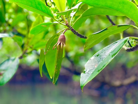 image-14-03-23-10-45-1