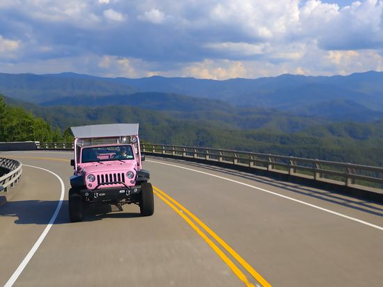 Foothills Parkway Tour - Pink Jeep Tours 6