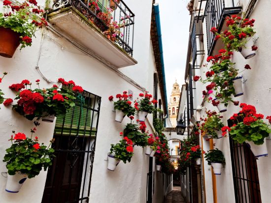 マドリード発着　アンダルシア地方周遊ツアー　マドリード＋グラナダ＋セビリア＋コルドバ観光＜6泊7日／日曜発／1名催行／日本語＞