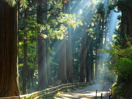 貸切観光タクシー  花巻から行く！世界遺産 平泉+カッパ伝説の遠野+宮沢賢治記念館コース　中尊寺+毛越寺+遠野のカッパ淵etc. ＜6.5時間／花巻発⇒一関着＞