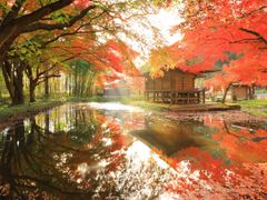 pixta_84889004_M