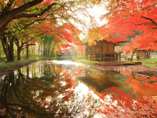 貸切観光タクシー  世界遺産 平泉+カッパ伝説の遠野コース　中尊寺+毛越寺+遠野のカッパ淵etc. ＜5時間／遠野発⇒一関着＞