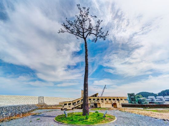 貸切観光タクシー　陸前高田の奇跡の一本松+えさし藤原の郷+遠野カッパ伝説　観光後盛岡へお送り＜7.5時間／遠野発⇒盛岡着＞