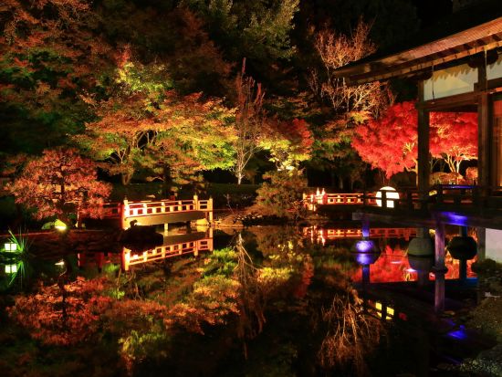 貸切観光タクシー 盛岡から行く！陸前高田の奇跡の一本松+えさし藤原の郷+遠野カッパ伝説　福泉寺カッパ淵+えさし藤原の郷+1本松＜7.5時間／盛岡発⇒遠野着＞