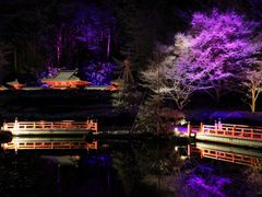 pixta_61368850_M