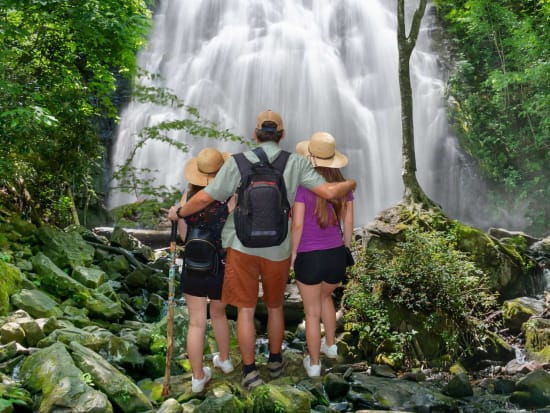 maui waterfall hike tour