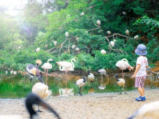 ネオパークオキナワ 前売り入場チケット