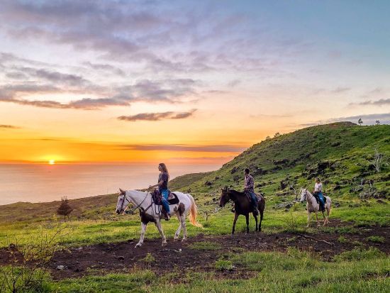 乗馬体験(1.5時間)　ワイアナエ山脈の豊かな森と丘の上から望むオーシャンビューを体験！サンセットプランあり＜現地集合＞