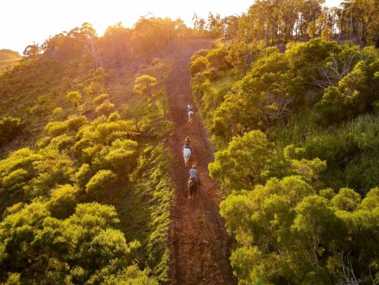 乗馬体験(1.5時間)　ワイアナエ山脈の豊かな森と丘の上から望むオーシャンビューを体験！サンセットプランあり＜現地集合＞